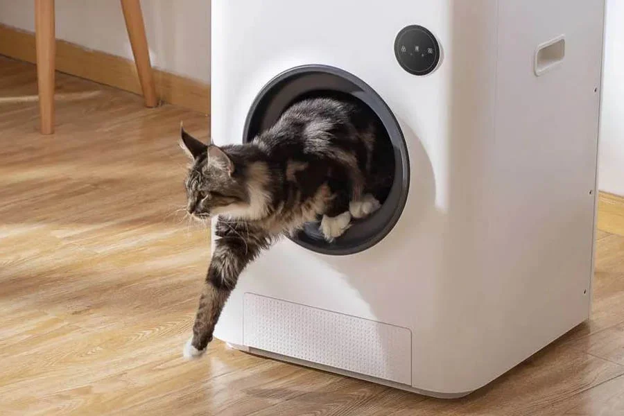 automatic litter box for multiple cats